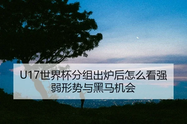 U17世界杯分组出炉后怎么看强弱形势与黑马机会